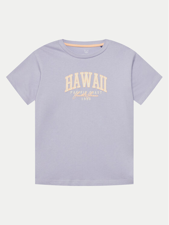 Футболка свободного кроя Detroit 12269816 Jack&Jones, фиолетовый
Футболка свободного кроя Detroit 12269816 Jack&Jones, фиолетовый