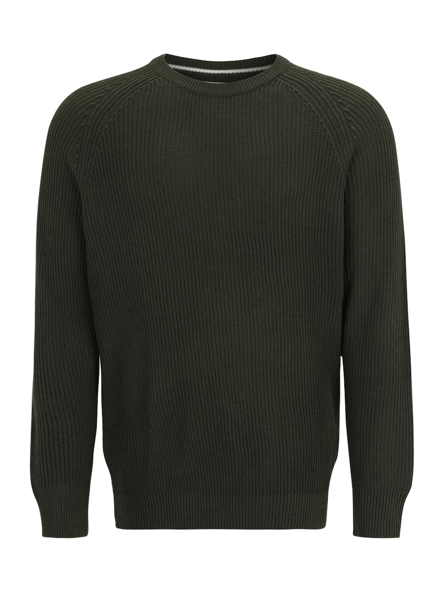 Свитер Jack & Jones Plus, темно-зеленый
Свитер Jack & Jones Plus, темно-зеленый