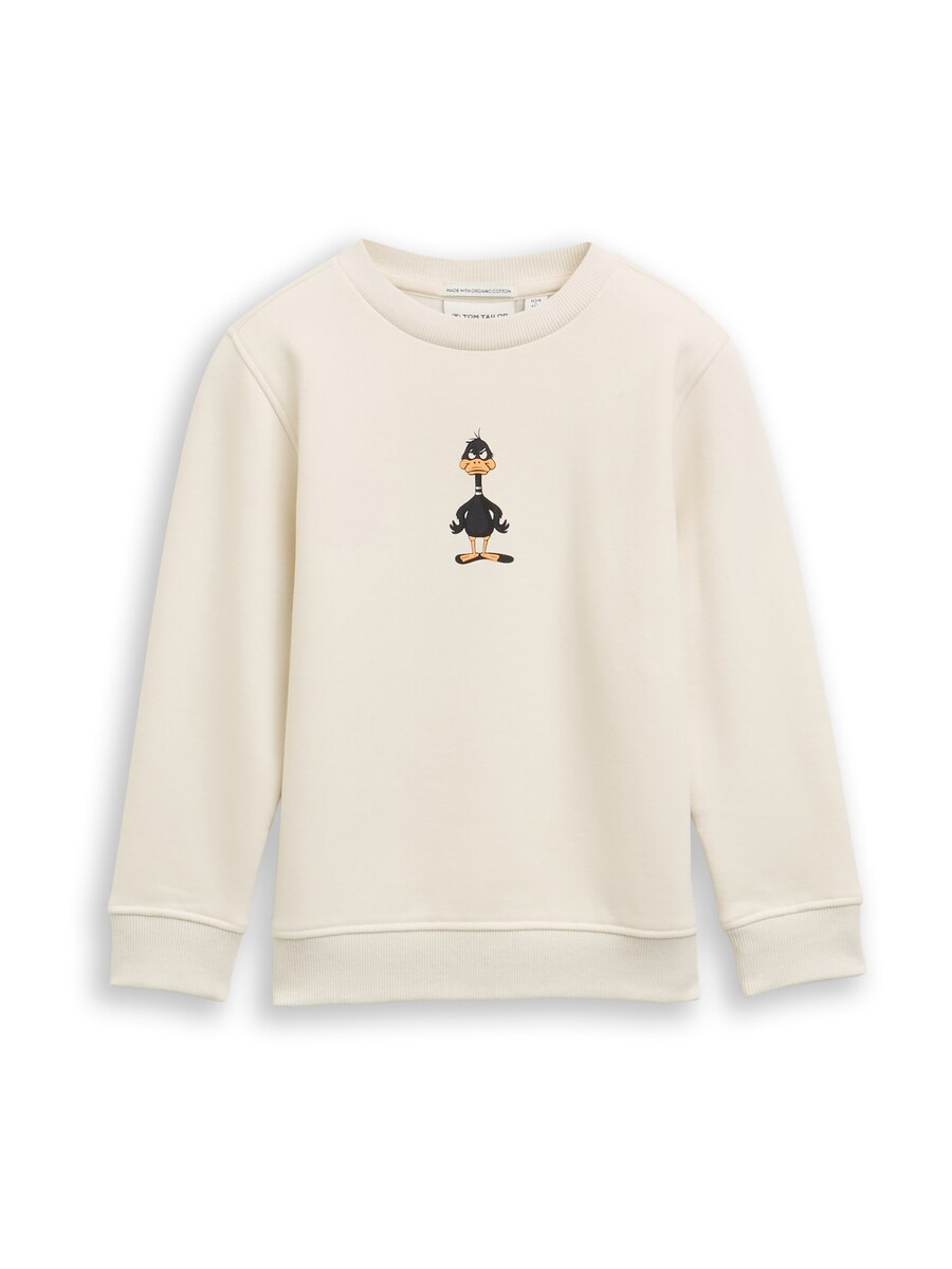 Толстовка TOM TAILOR, от белого
Толстовка TOM TAILOR, от белого