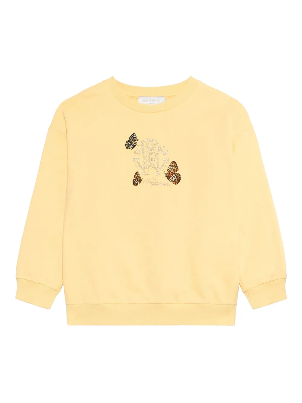 Толстовка с монограммой и бабочкой Roberto Cavalli, желтый
Толстовка с монограммой и бабочкой Roberto Cavalli, желтый