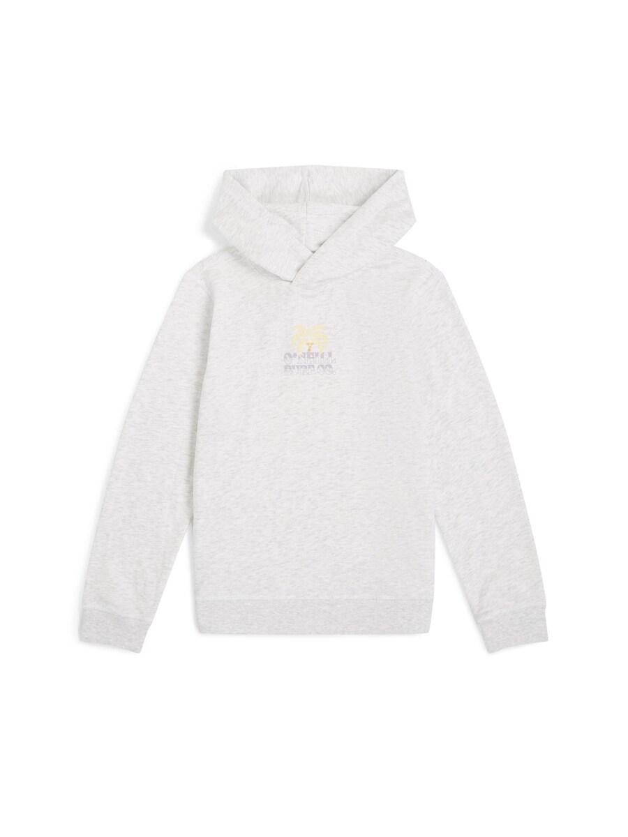 Толстовка O'NEILL, цвет mottled white
Толстовка O'NEILL, цвет mottled white