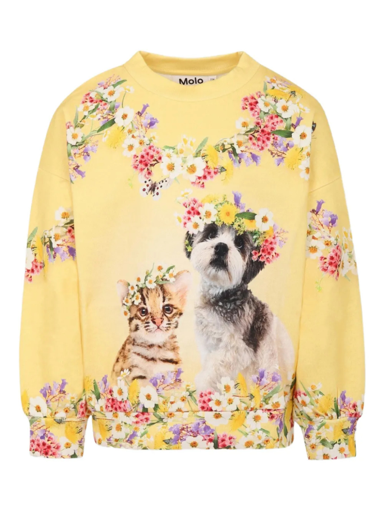 Толстовка с принтом Molo, желтый
Толстовка с принтом Molo, желтый