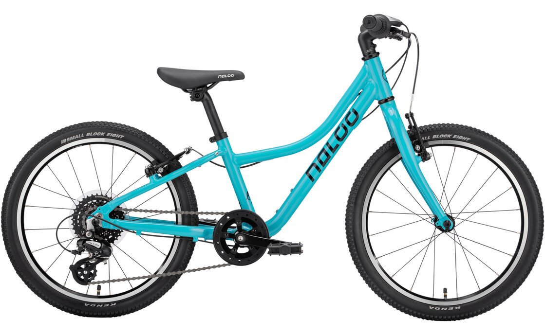 Горный велосипед Naloo Chameleon 20" MK2 - 20 дюймов - Diamant - 2023, цвет Türkis|turquoise
Горный велосипед Naloo Chameleon 20" MK2 - 20 дюймов - Diamant - 2023, цвет Türkis|turquoise