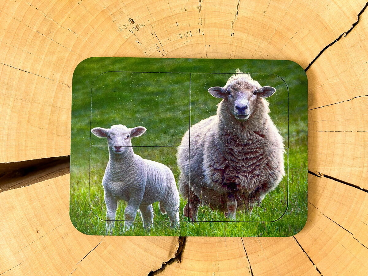 Овца, деревянный пазл с четырьмя элементами, основа с подписью, первый пазл Inna marka
Овца, деревянный пазл с четырьмя элементами, основа с подписью, первый пазл Inna marka