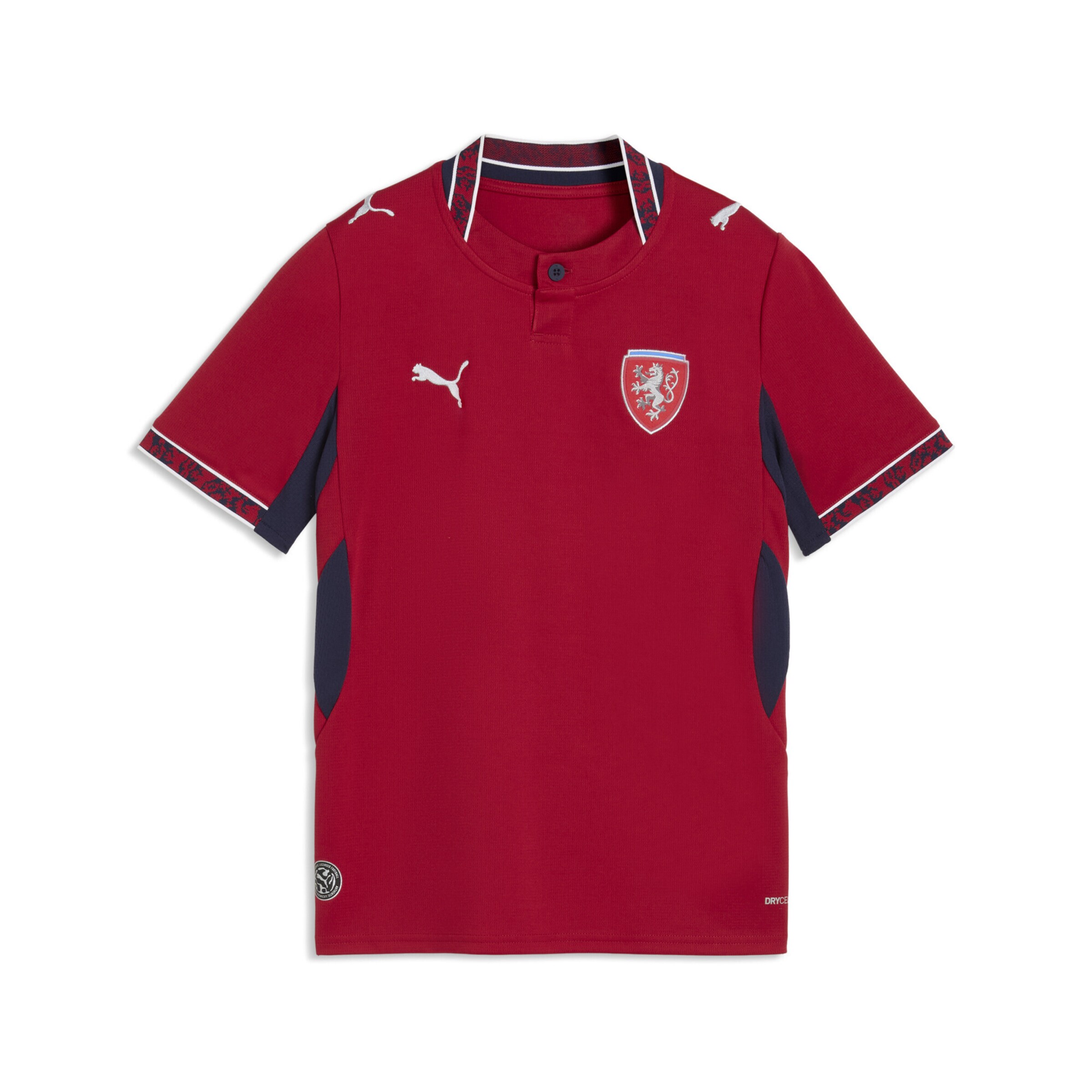 PUMA Футболка Performance в цвете Cherry Red
PUMA Футболка Performance в цвете Cherry Red