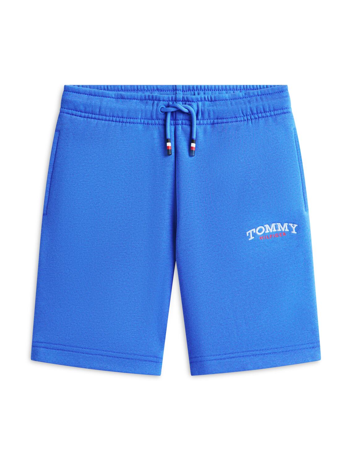 TOMMY HILFIGER Обычные брюки в синем цвете
TOMMY HILFIGER Обычные брюки в синем цвете