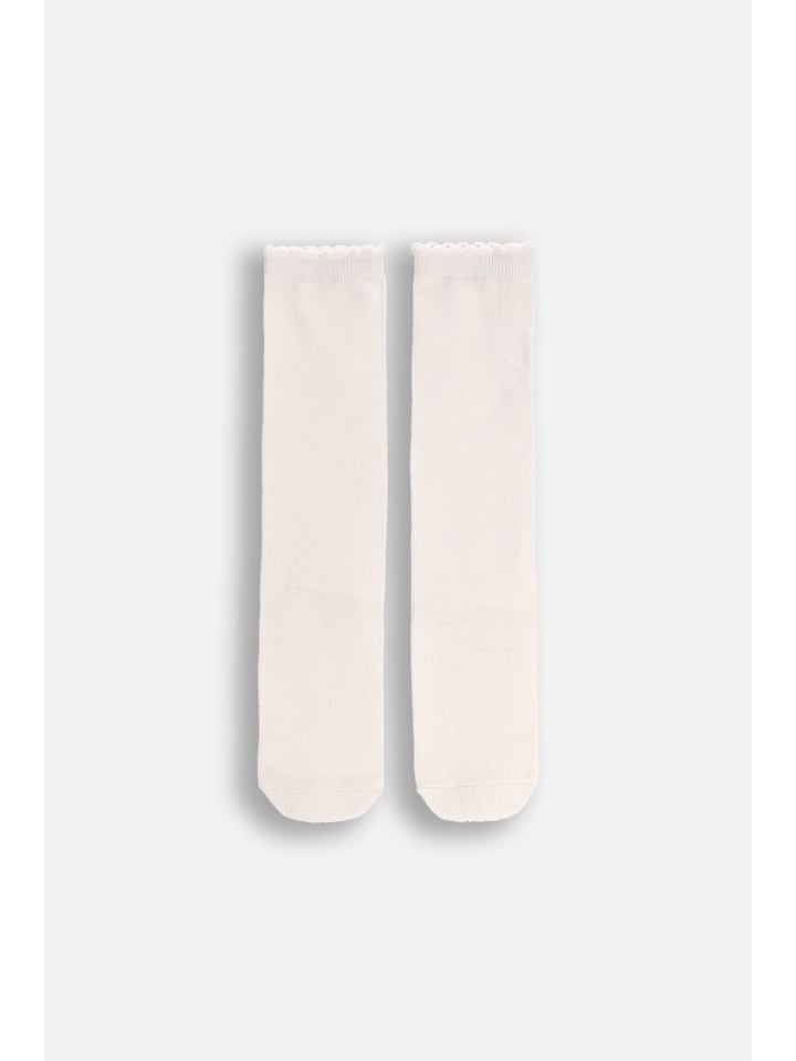 Coccodrillo Высокие носки до колена, цвета экрю
Coccodrillo Высокие носки до колена, цвета экрю