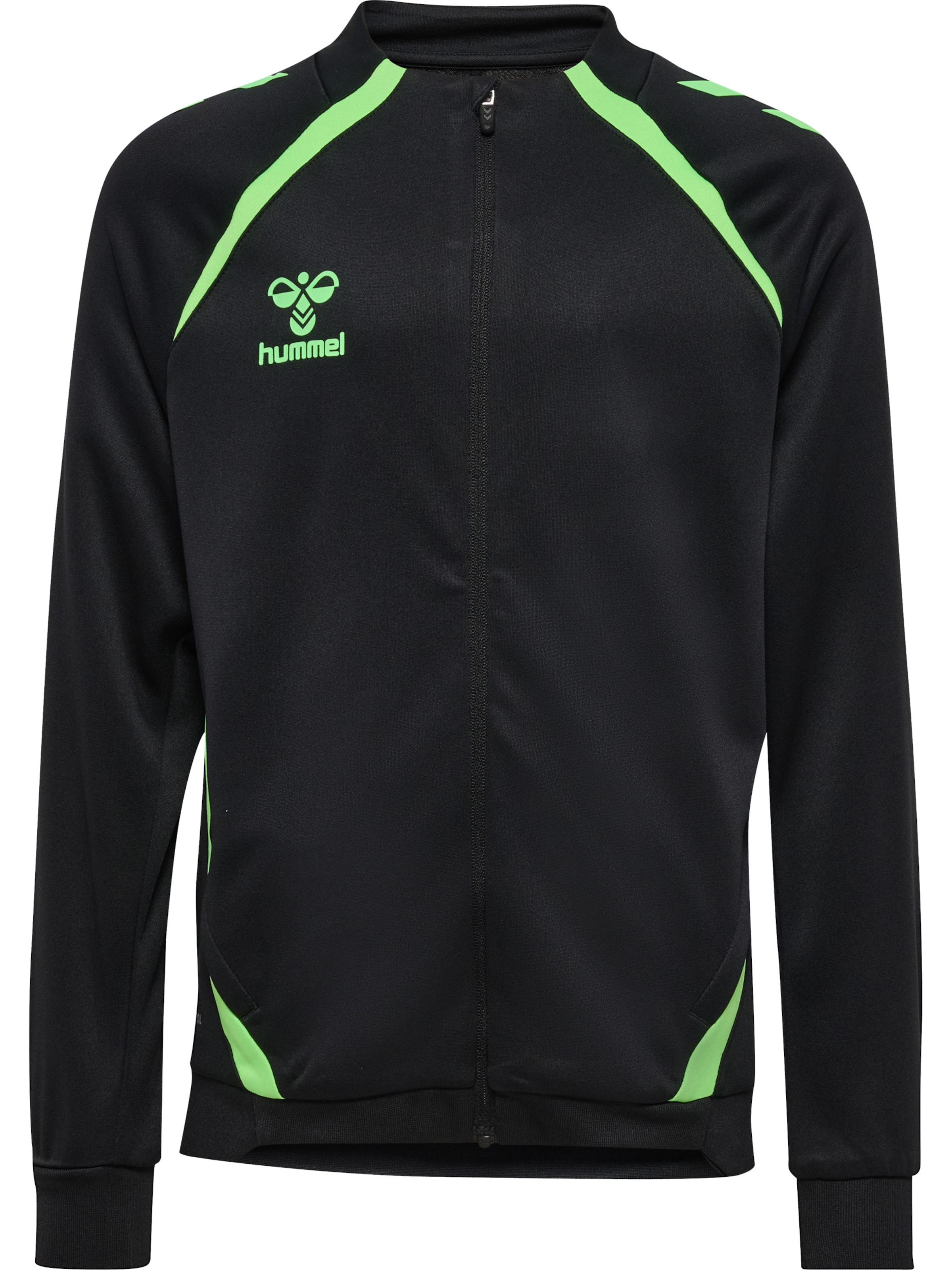 Hummel Спортивная худи на молнии 'Lead 2.0' в черном цвете
Hummel Спортивная худи на молнии 'Lead 2.0' в черном цвете
