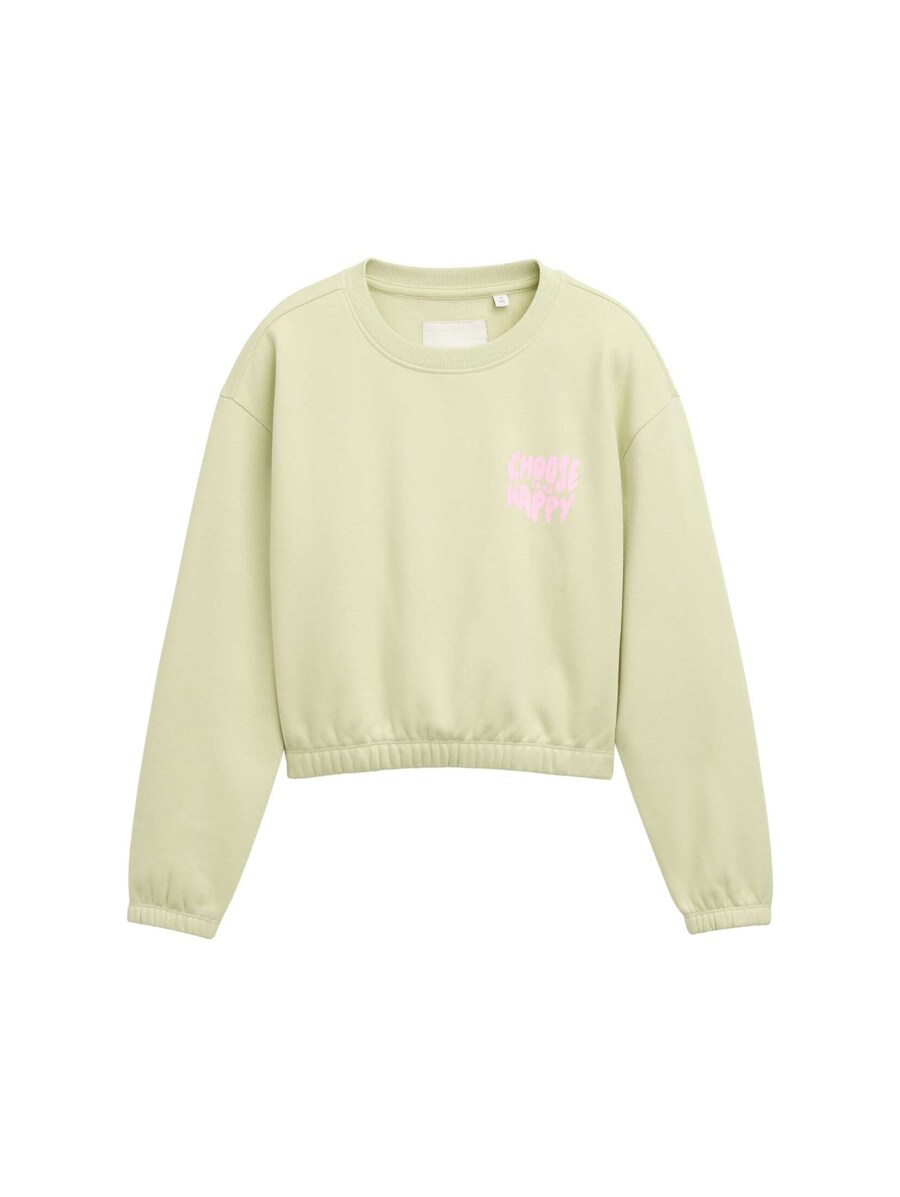 Толстовка TOM TAILOR, пастельно-зеленый
Толстовка TOM TAILOR, пастельно-зеленый