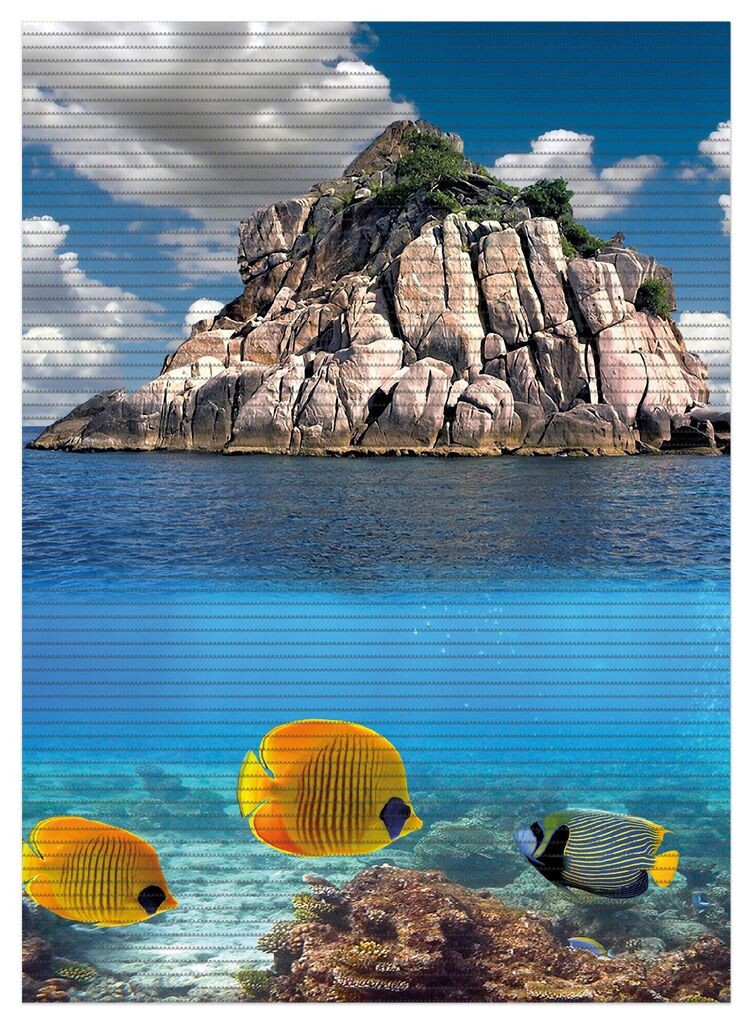 Коврик для душа Wallario, нескользящий коврик, коврик для ванной, коврик для двери, экзотическая морская рыба, размер ок. 90 х 65 см, синий
Коврик для душа Wallario, нескользящий коврик, коврик для ванной, коврик для двери, экзотическая морская рыба, размер ок. 90 х 65 см, синий