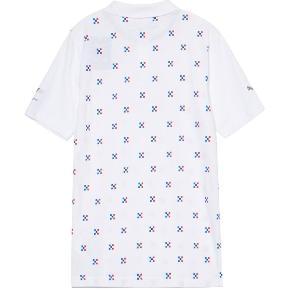 Рубашка поло мужская белая Puma, белый
Рубашка поло мужская белая Puma, белый