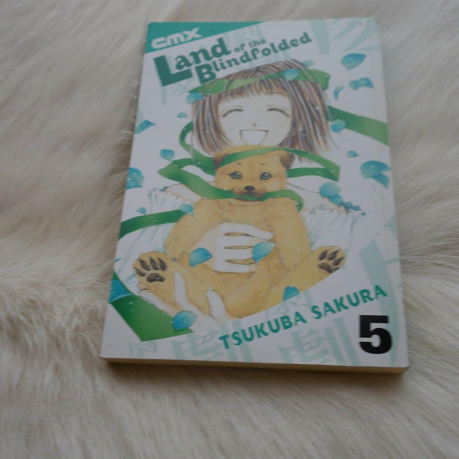 Land of the Blindfolded - VOL 05 (CMX)
Land of the Blindfolded - VOL 05 (CMX)