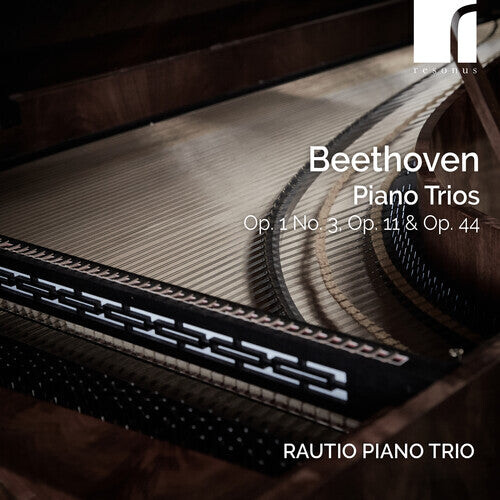 CD диск Beethoven, L.V. / Rautio Piano Trio: Beethoven: Piano Trios, Op. 1 No. 3, Op. 11 & Op. 44
CD диск Beethoven, L.V. / Rautio Piano Trio: Beethoven: Piano Trios, Op. 1 No. 3, Op. 11 & Op. 44