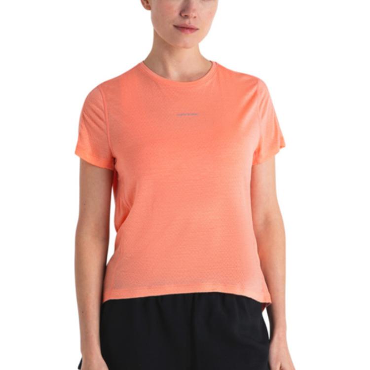 Футболка женская SS24 Icebreaker, Rouge Pink
Футболка женская SS24 Icebreaker, Rouge Pink