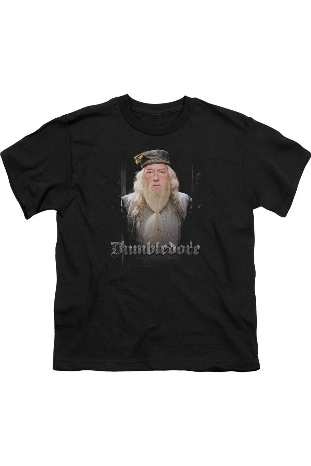 Футболка с коротким рукавом для детей "Двери Дамблдора" Harry Potter Gildan, черный
Футболка с коротким рукавом для детей "Двери Дамблдора" Harry Potter Gildan, черный