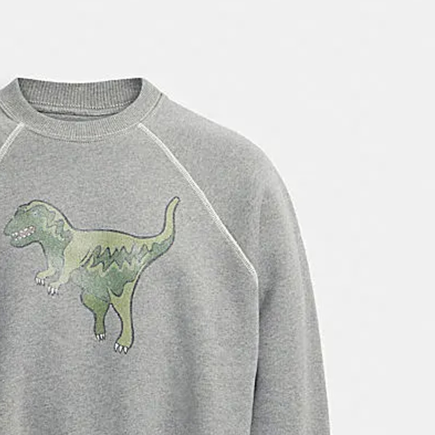 Толстовка женская серая Coach
Толстовка женская серая Coach