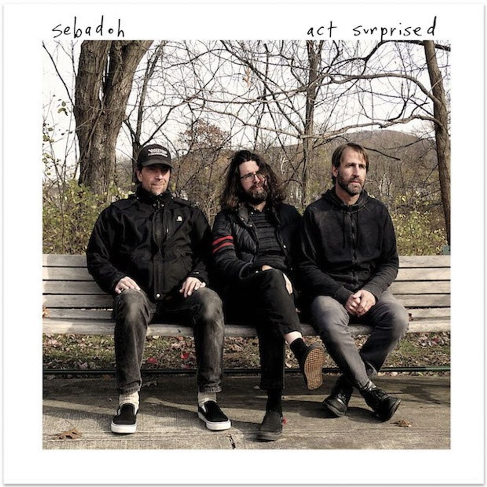 Виниловая пластинка LP Act Surprised - Sebadoh 
Виниловая пластинка LP Act Surprised - Sebadoh