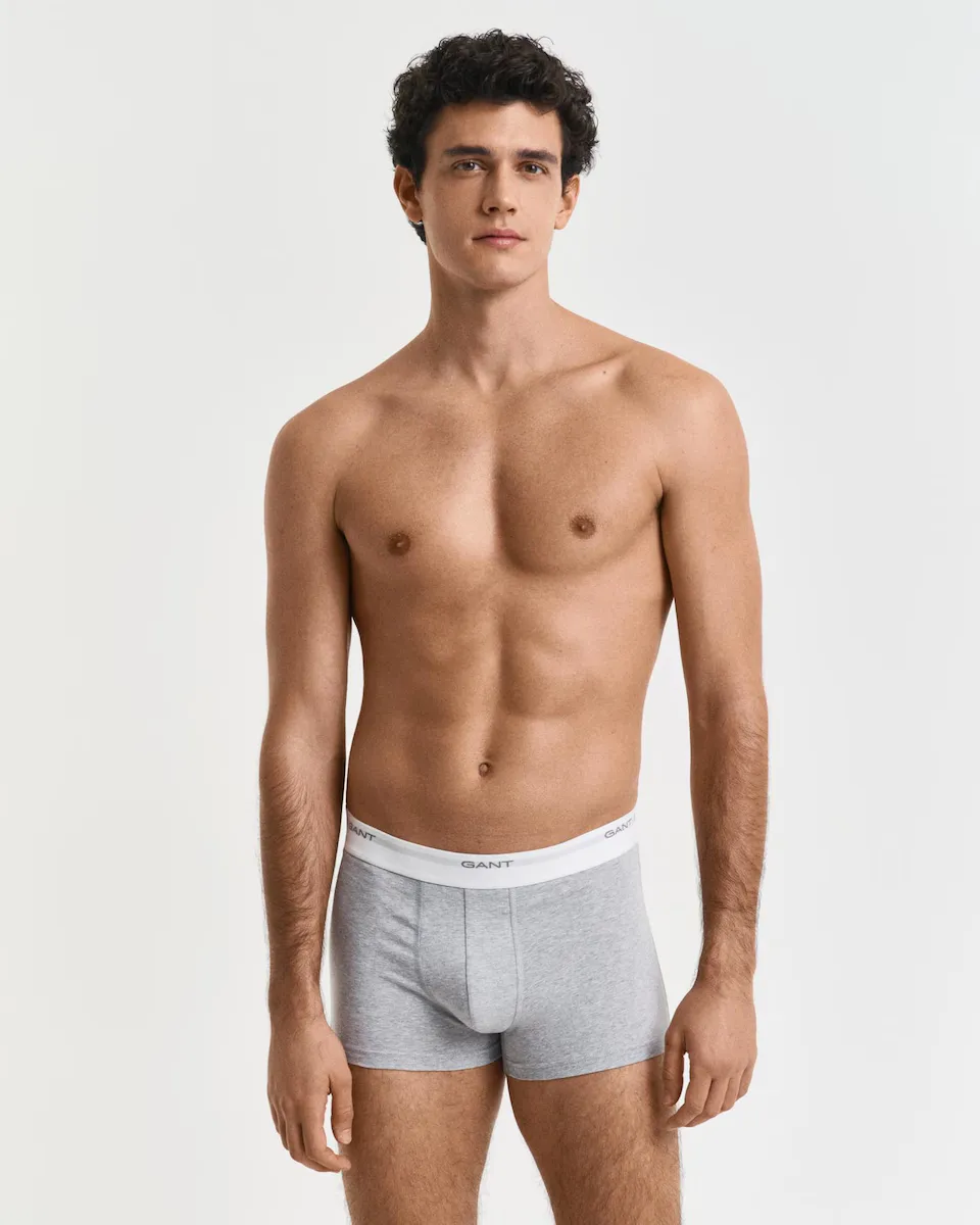 Упаковка из трех мужских коротких боксеров с поясом Gant, серый
Упаковка из трех мужских коротких боксеров с поясом Gant, серый