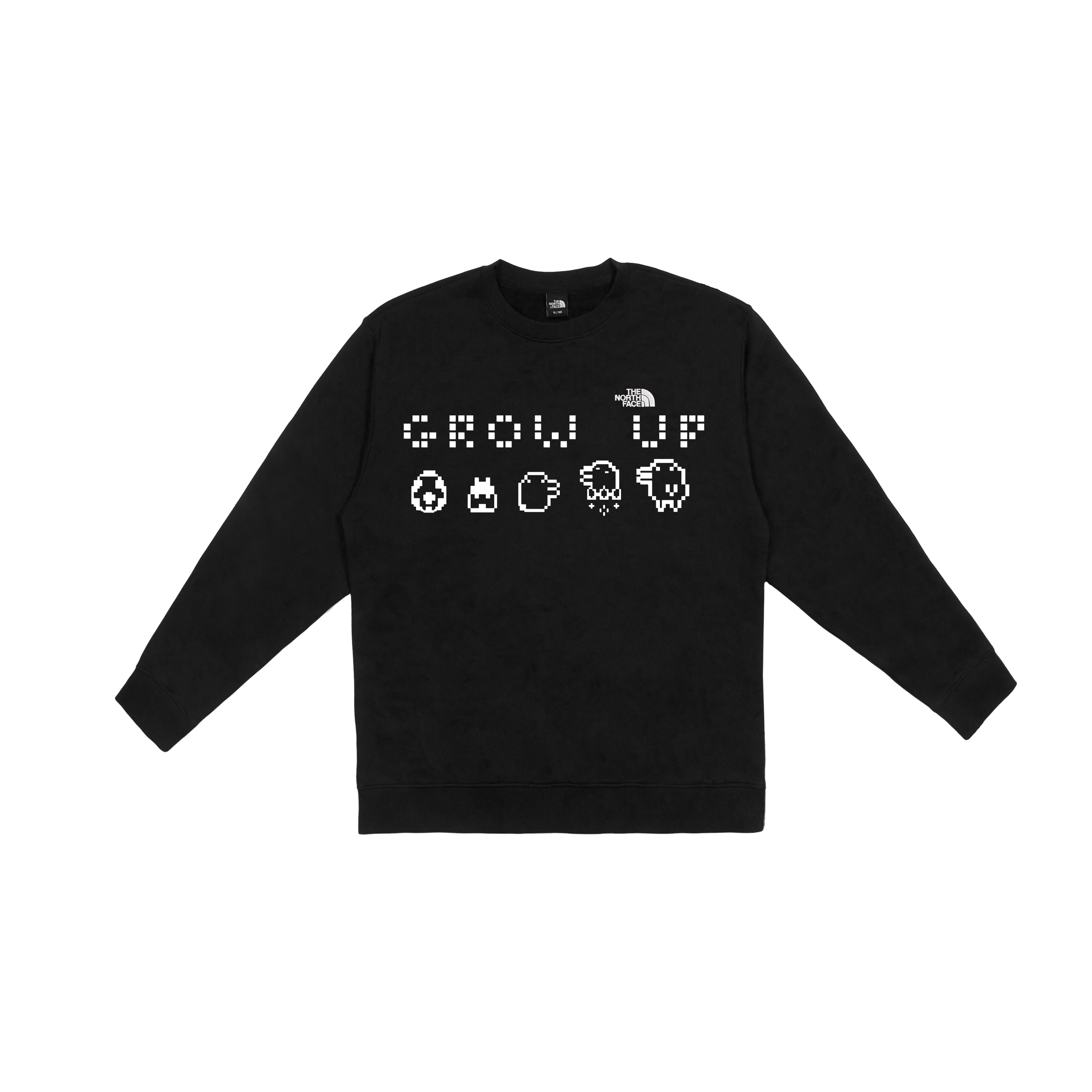 Свитшот мужской THE NORTH FACE, черный
Свитшот мужской THE NORTH FACE, черный