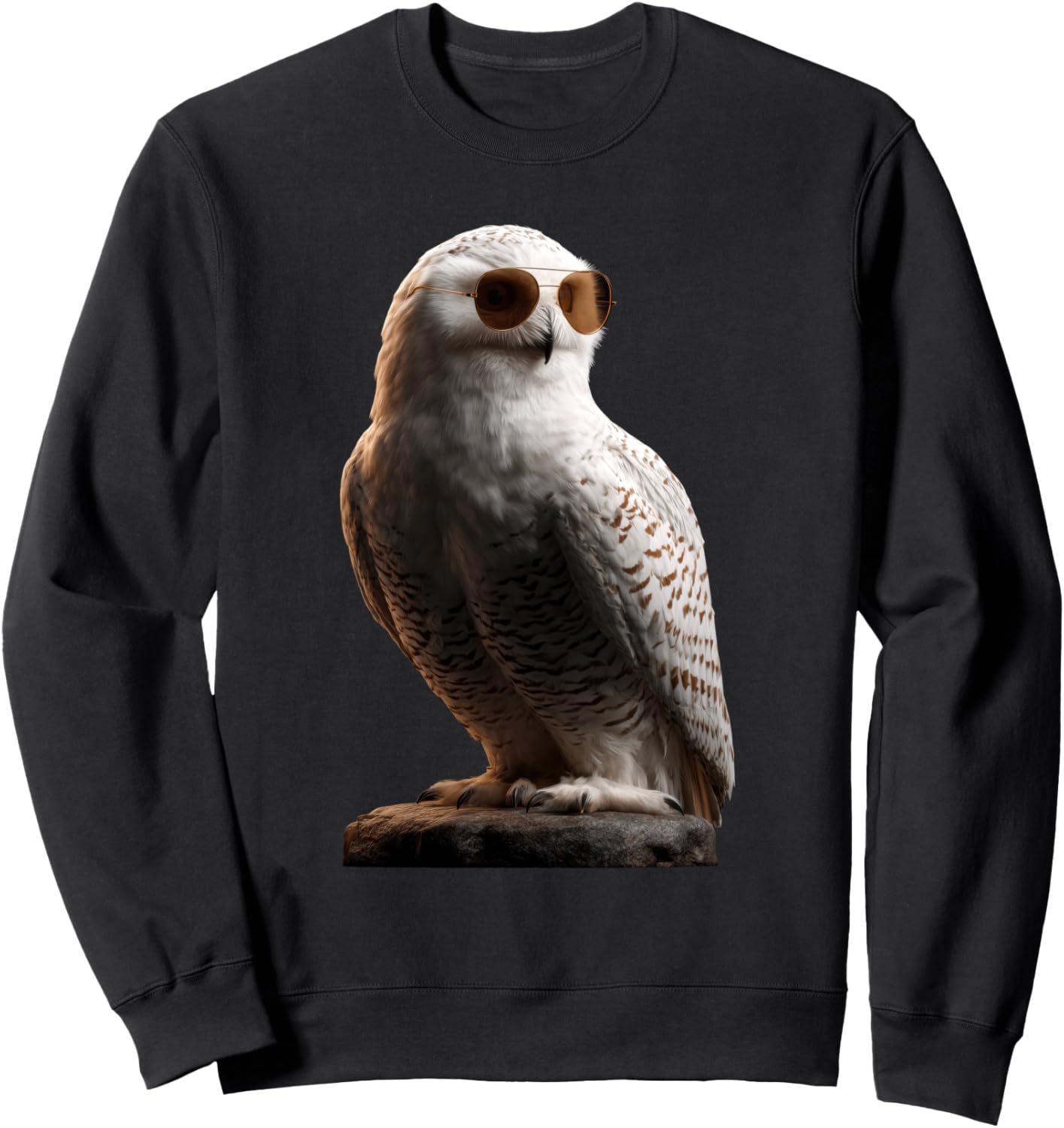 Белая сова, милая толстовка с изображением снежной совы White Snow Owl For Owl Lovers, Белый, Белая сова, милая толстовка с изображением снежной совы White Snow Owl For Owl Lovers
Белая сова, милая толстовка с изображением снежной совы White Snow Owl For Owl Lovers, Белый, Белая сова, милая толстовка с изображением снежной совы White Snow Owl For Owl Lovers