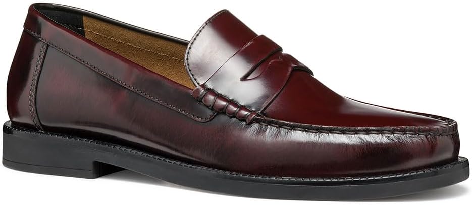 Мужские кроссовки Geox U Recanati B, винный
Мужские кроссовки Geox U Recanati B, винный