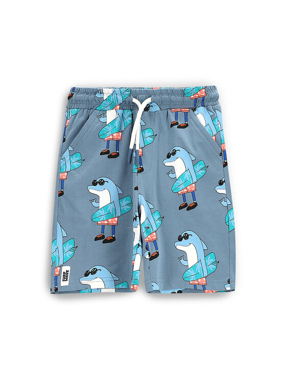 Спортивные шорты обычного кроя WC5121502HBK Coccodrillo, синий
Спортивные шорты обычного кроя WC5121502HBK Coccodrillo, синий