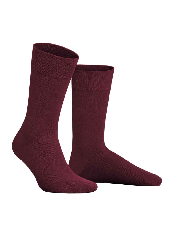 Носки Relax Cotton с манжетой, не сдавливающей мышцы, винно-красного цвета Hudson
Носки Relax Cotton с манжетой, не сдавливающей мышцы, винно-красного цвета Hudson