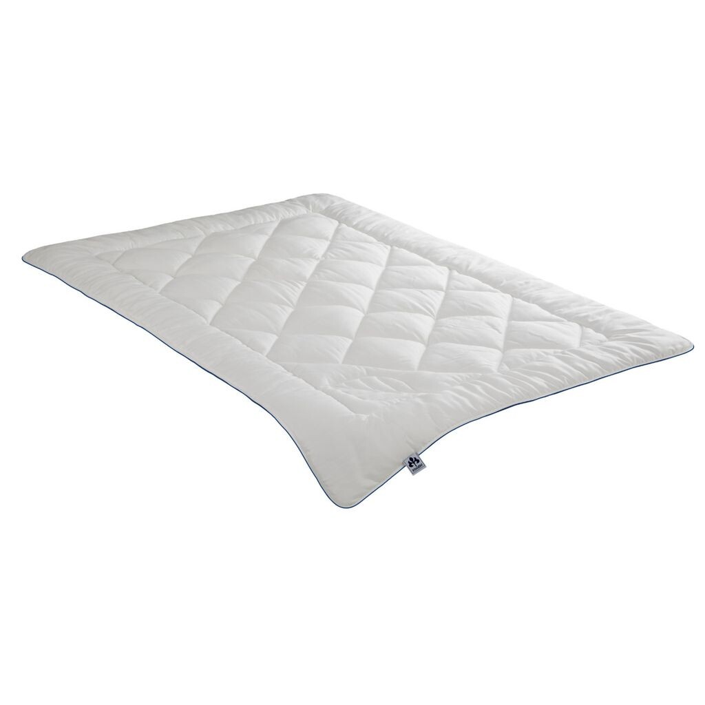 Стеганая кровать Irisette из текстильного волокна моно Изделие содержит волокна Tencel Lyocell белого цвета, размер 135х200 см Badenia irisette
Стеганая кровать Irisette из текстильного волокна моно Изделие содержит волокна Tencel Lyocell белого цвета, размер 135х200 см Badenia irisette