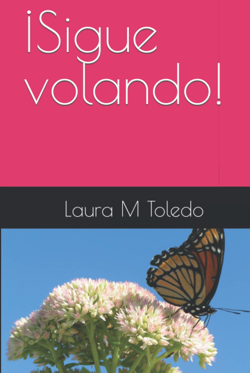 ¡Sigue volando! (Spanish Edition) (Independently published)
¡Sigue volando! (Spanish Edition) (Independently published)