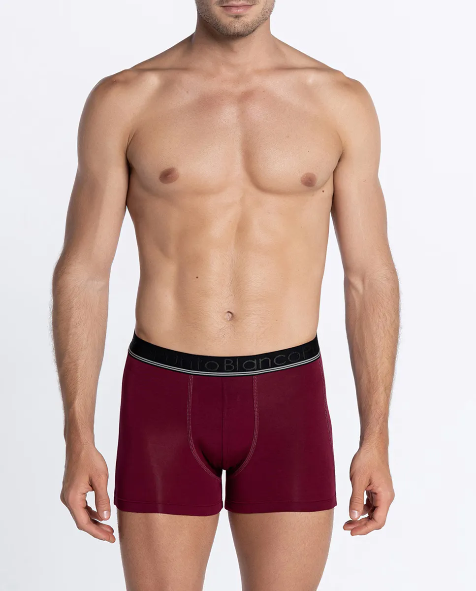 Однотонные мужские трикотажные боксеры Punto Blanco, цвет Granate
Однотонные мужские трикотажные боксеры Punto Blanco, цвет Granate