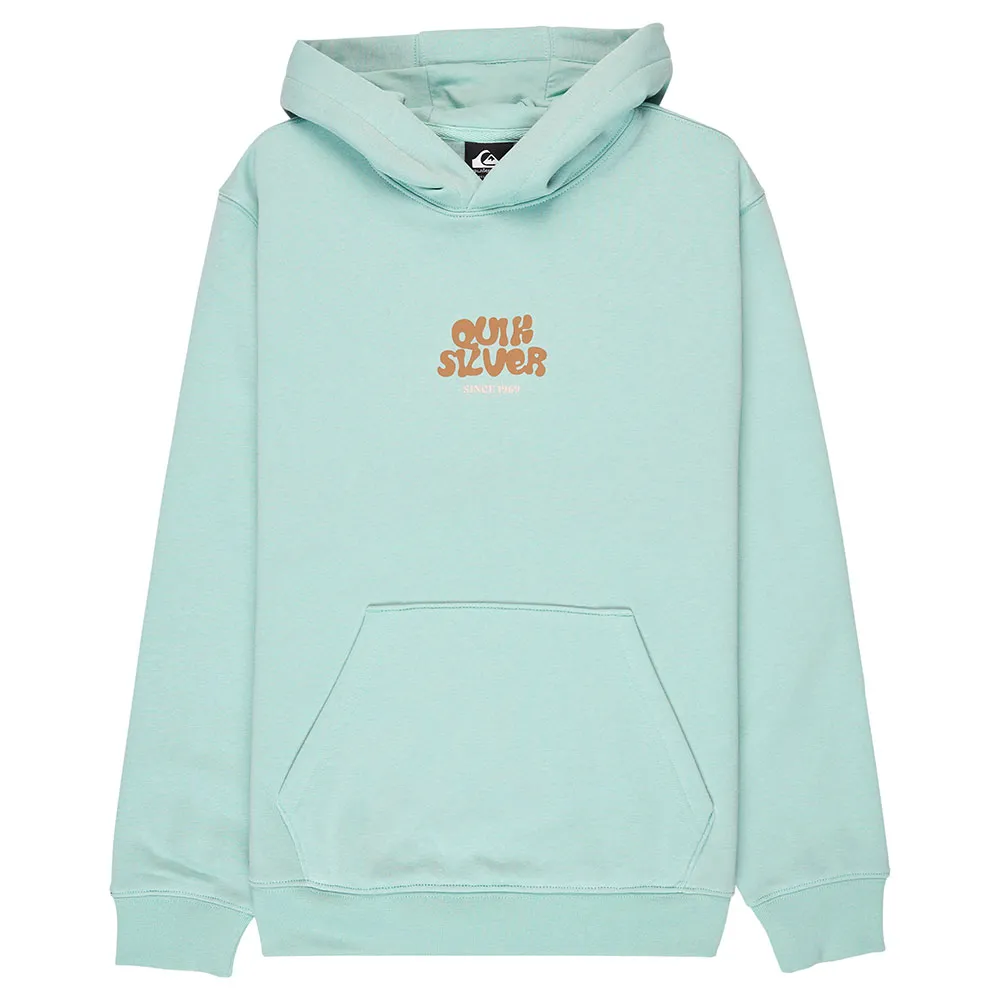 Детская толстовка Quiksilver Graphic, зеленый
Детская толстовка Quiksilver Graphic, зеленый