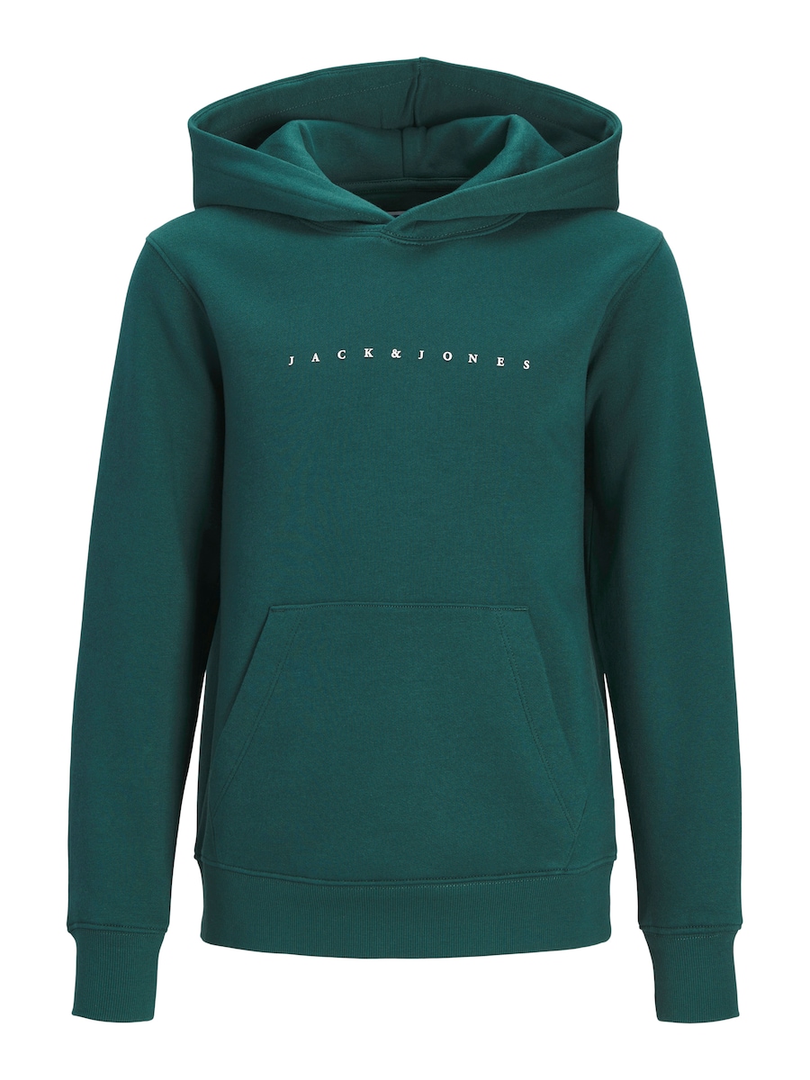 Толстовка Jack & Jones Junior JJEStar, Fir
Толстовка Jack & Jones Junior JJEStar, Fir