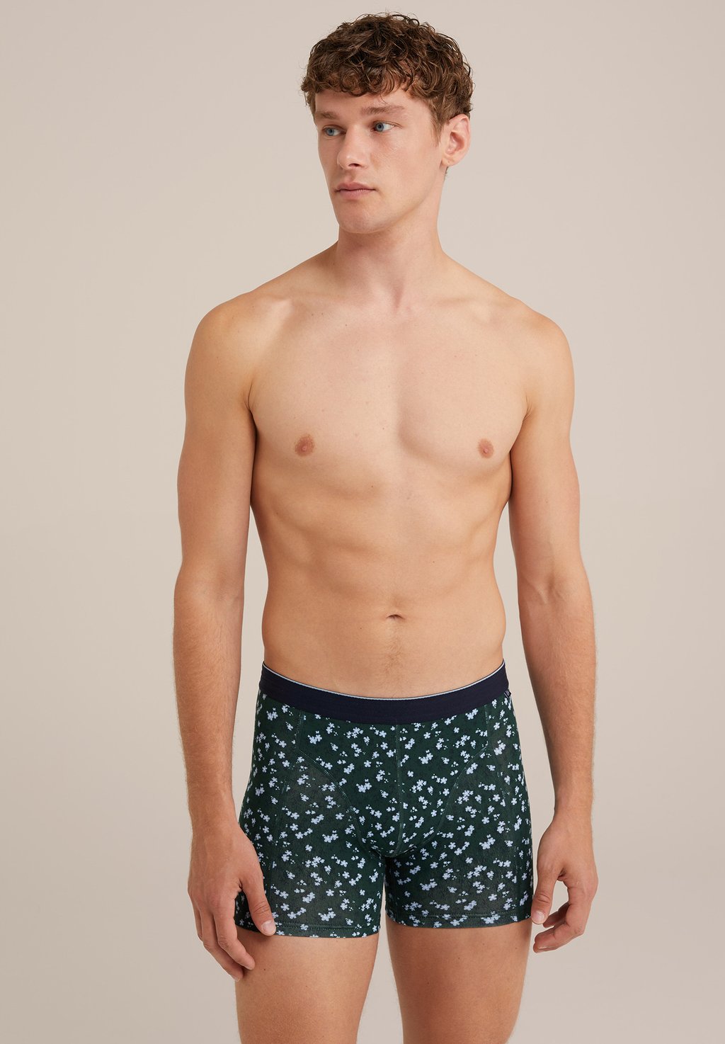 Боксеры WE Fashion, темно-зеленый
Боксеры WE Fashion, темно-зеленый