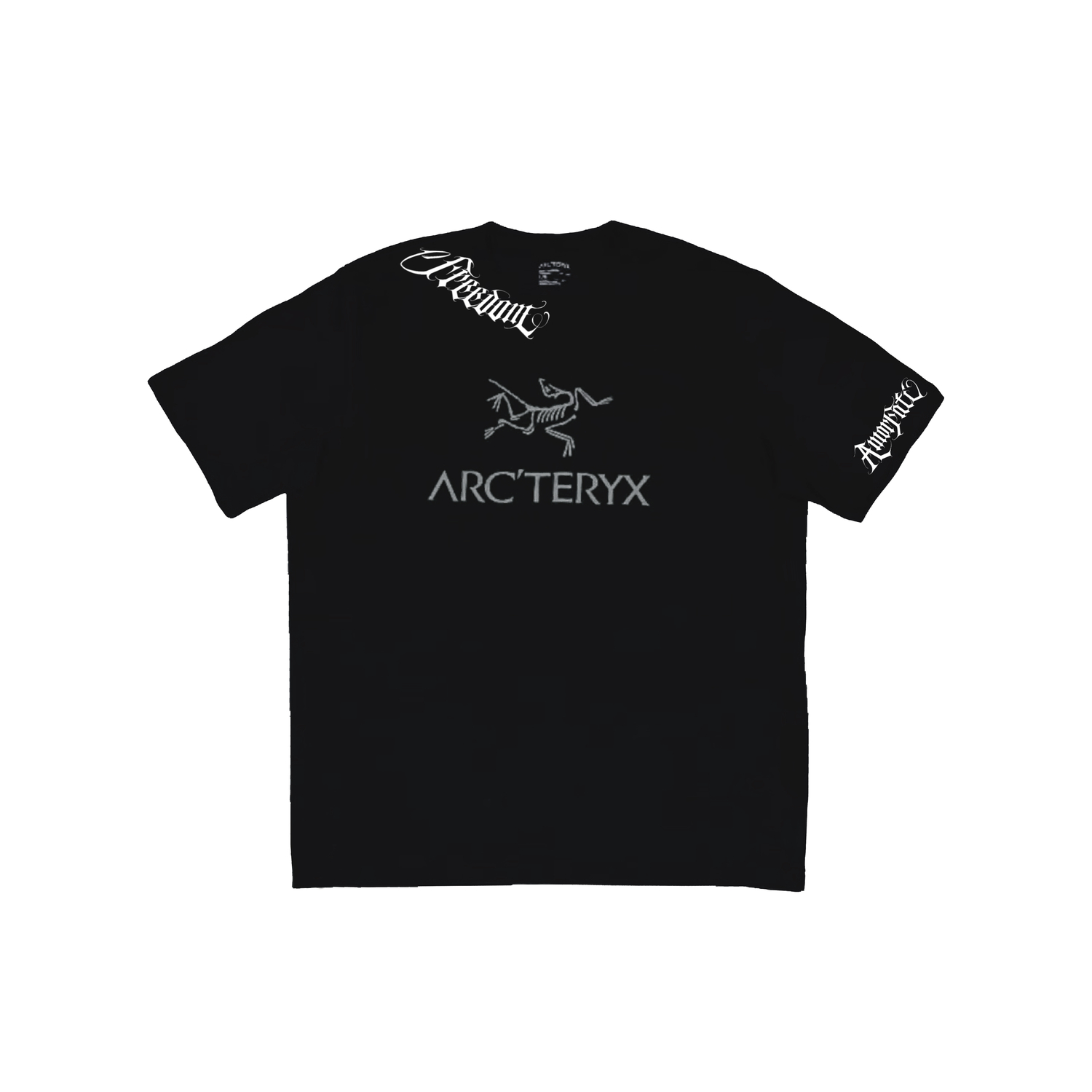 Arcteryx Футболка унисекс черная
Arcteryx Футболка унисекс черная