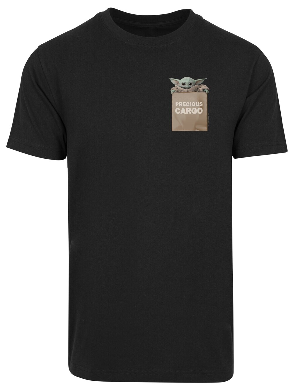 Футболка F4Nt4Stic, черный
Футболка F4Nt4Stic, черный