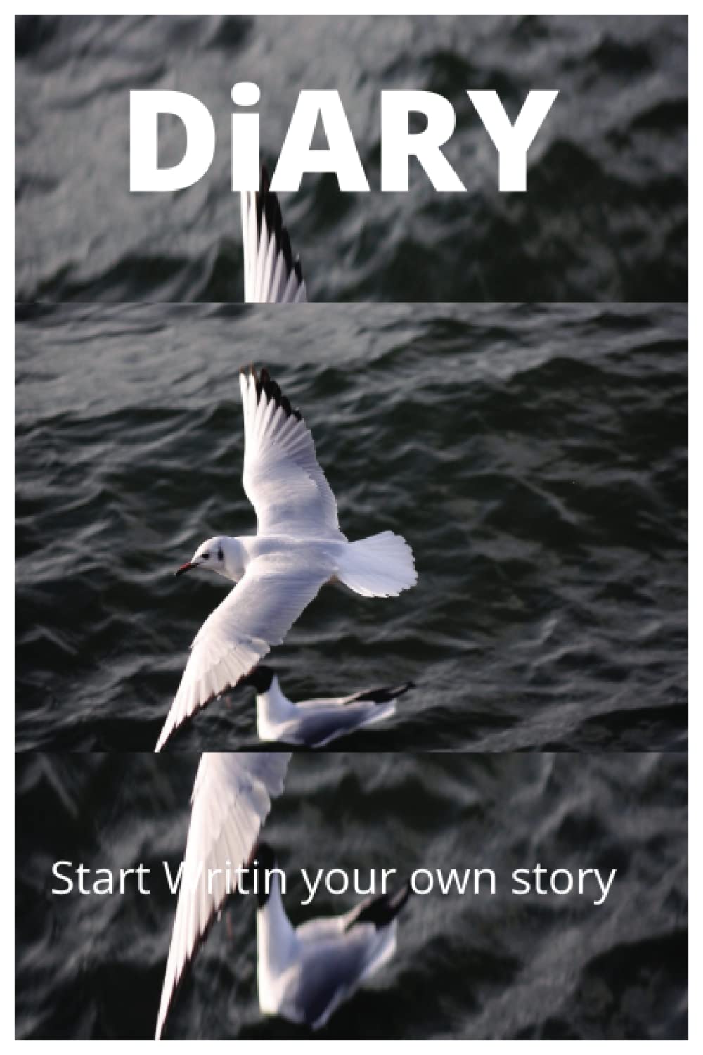 diary book (Independently published)
diary book (Independently published)
