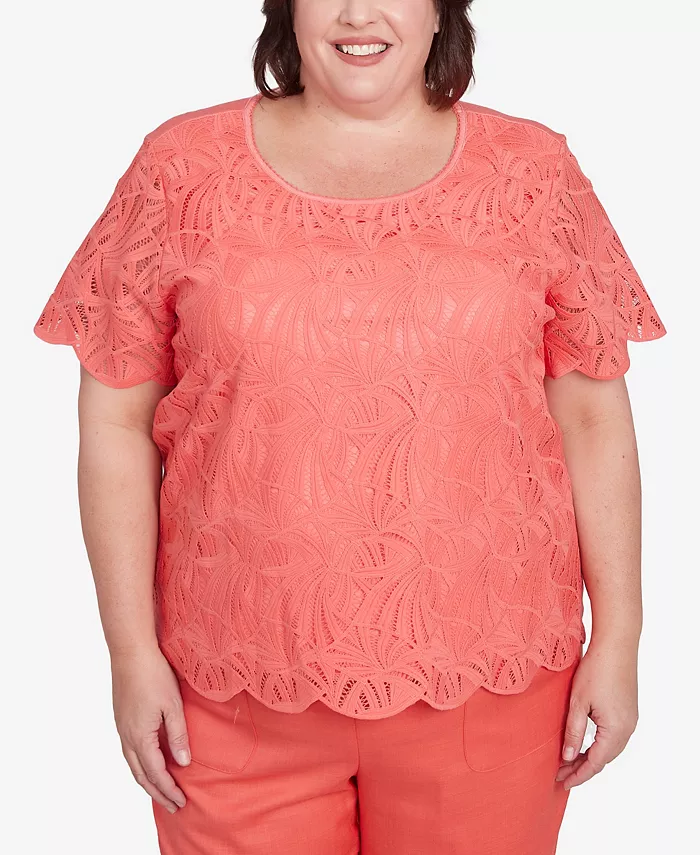 Топ Catalina Island с кружевной отделкой и текстурированным круглым вырезом больших размеров Alfred Dunner, оранжевый
Топ Catalina Island с кружевной отделкой и текстурированным круглым вырезом больших размеров Alfred Dunner, оранжевый