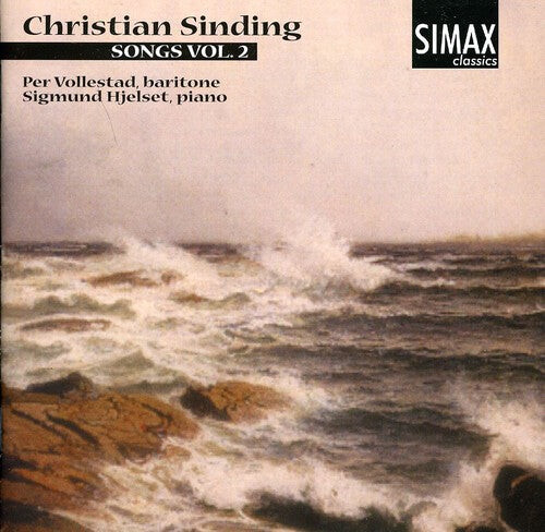 CD диск Sinding / Hjelset / Vollestad: Songs 2
CD диск Sinding / Hjelset / Vollestad: Songs 2