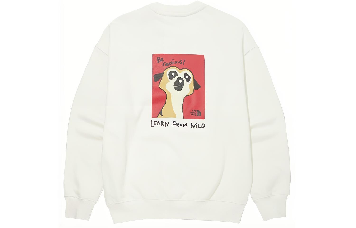 Толстовка унисекс белая The North Face, белый
Толстовка унисекс белая The North Face, белый