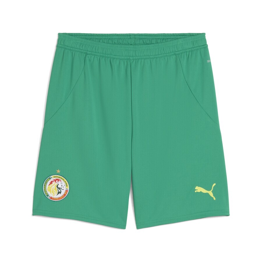 Шорты PUMA Regular Workout Pants Senegal 2025, зеленый 
Шорты PUMA Regular Workout Pants Senegal 2025, зеленый
