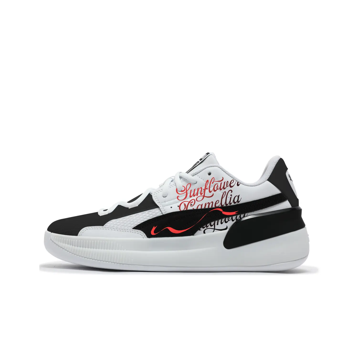 PUMA Clyde Hardwood Team Abrasion Resistant низкие баскетбольные кроссовки Unisex Black White
PUMA Clyde Hardwood Team Abrasion Resistant низкие баскетбольные кроссовки Unisex Black White