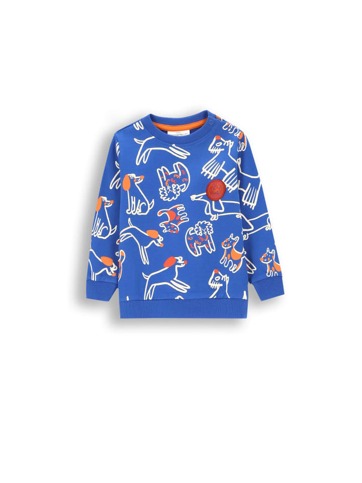 Толстовка Coccodrillo, кобальтовый синий
Толстовка Coccodrillo, кобальтовый синий