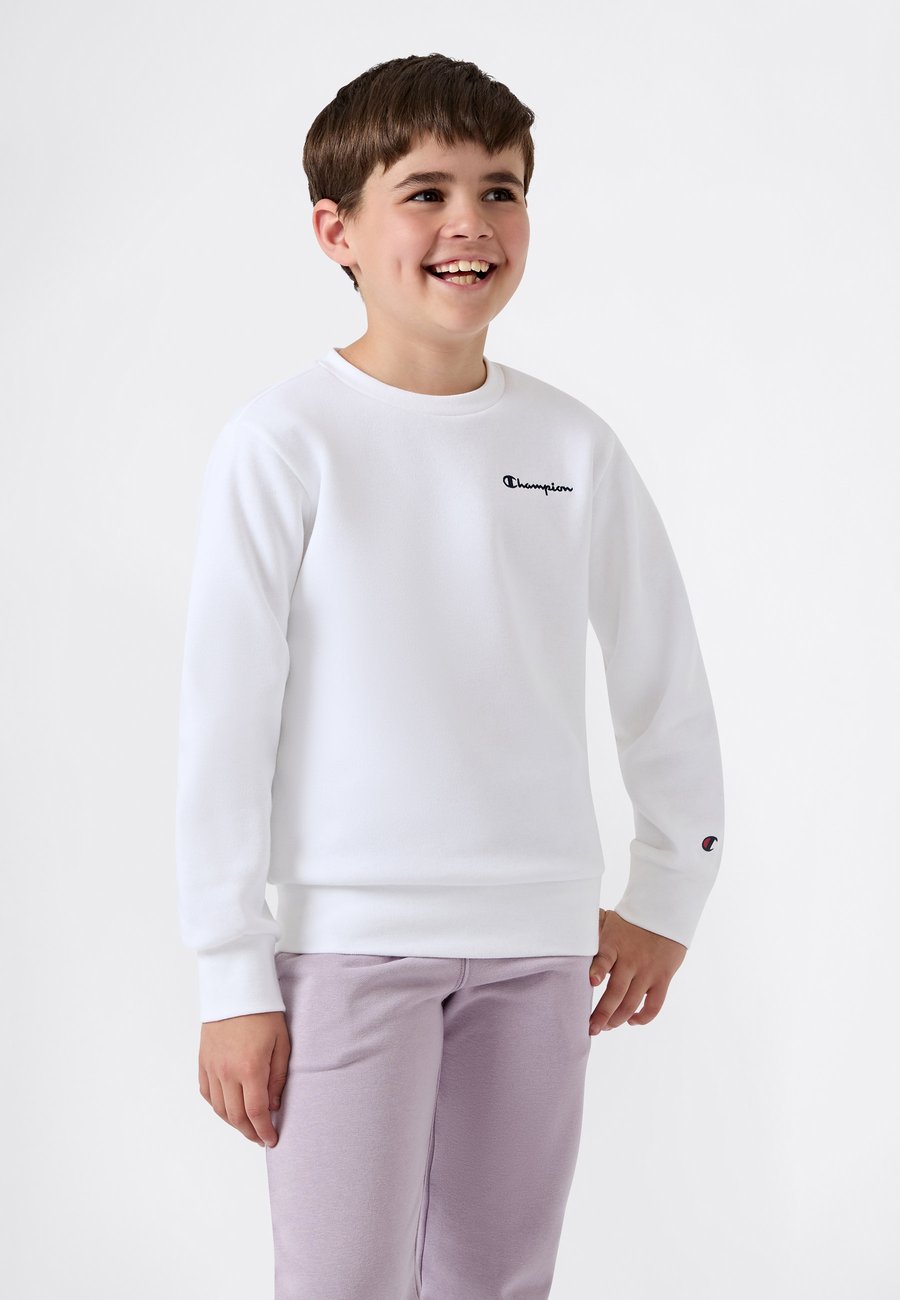 Толстовка Champion ICONS CREW NECK , White
Толстовка Champion ICONS CREW NECK , White