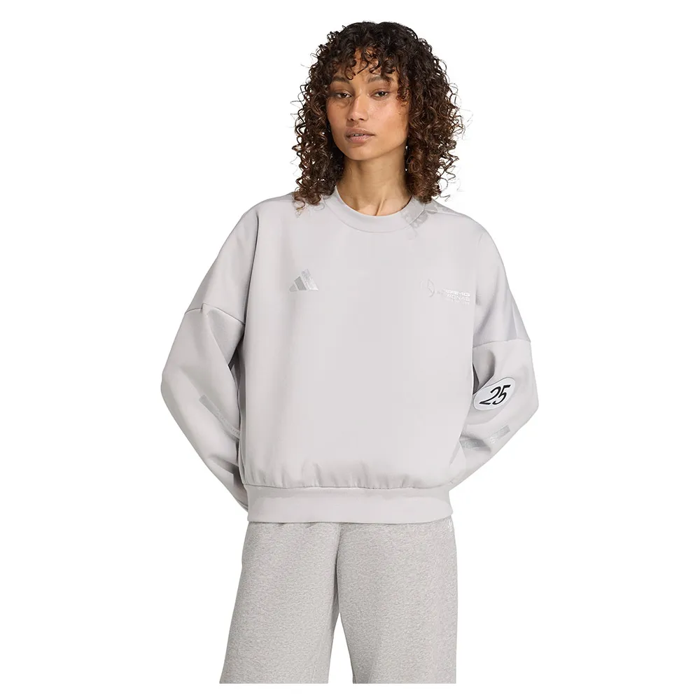 Толстовка adidas Mercedes-AMG Petronas Formula One Team Silver Arrows, серый 
Толстовка adidas Mercedes-AMG Petronas Formula One Team Silver Arrows, серый