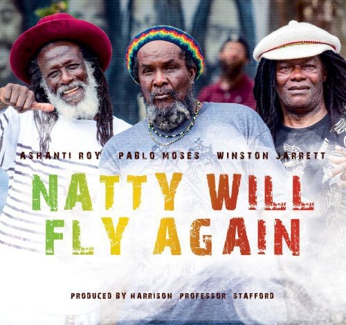 CD диск Natty Will Fly Again / Various: Natty Will Fly Again / Various
CD диск Natty Will Fly Again / Various: Natty Will Fly Again / Various