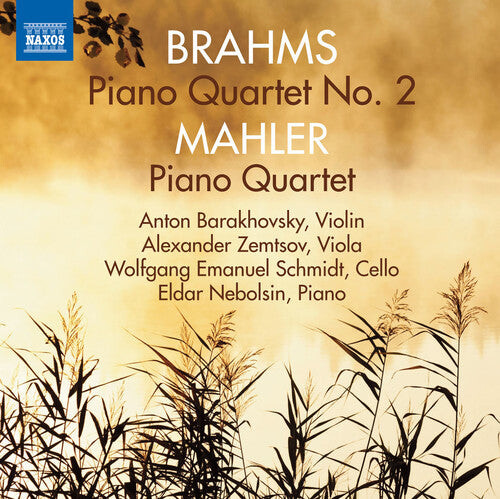 CD диск Brahms / Mahler / Barakhovsky: Piano Quartets
CD диск Brahms / Mahler / Barakhovsky: Piano Quartets