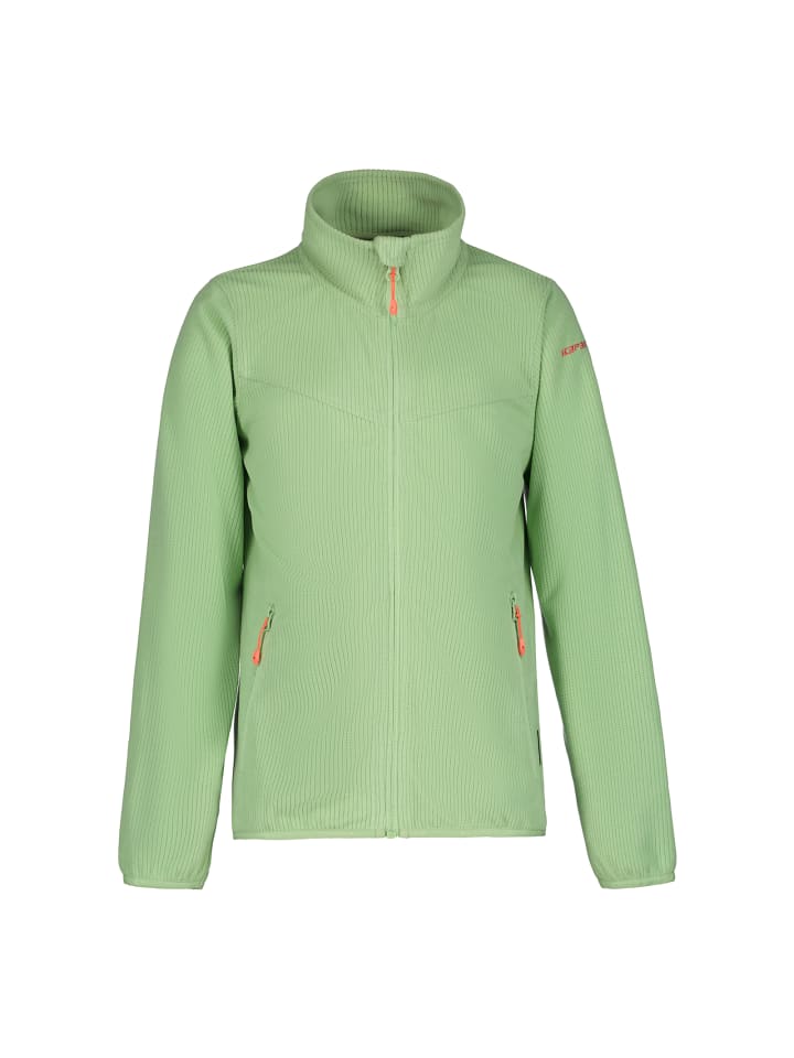 Icepeak Зеленая флисовая куртка Kimball Jr
Icepeak Зеленая флисовая куртка Kimball Jr