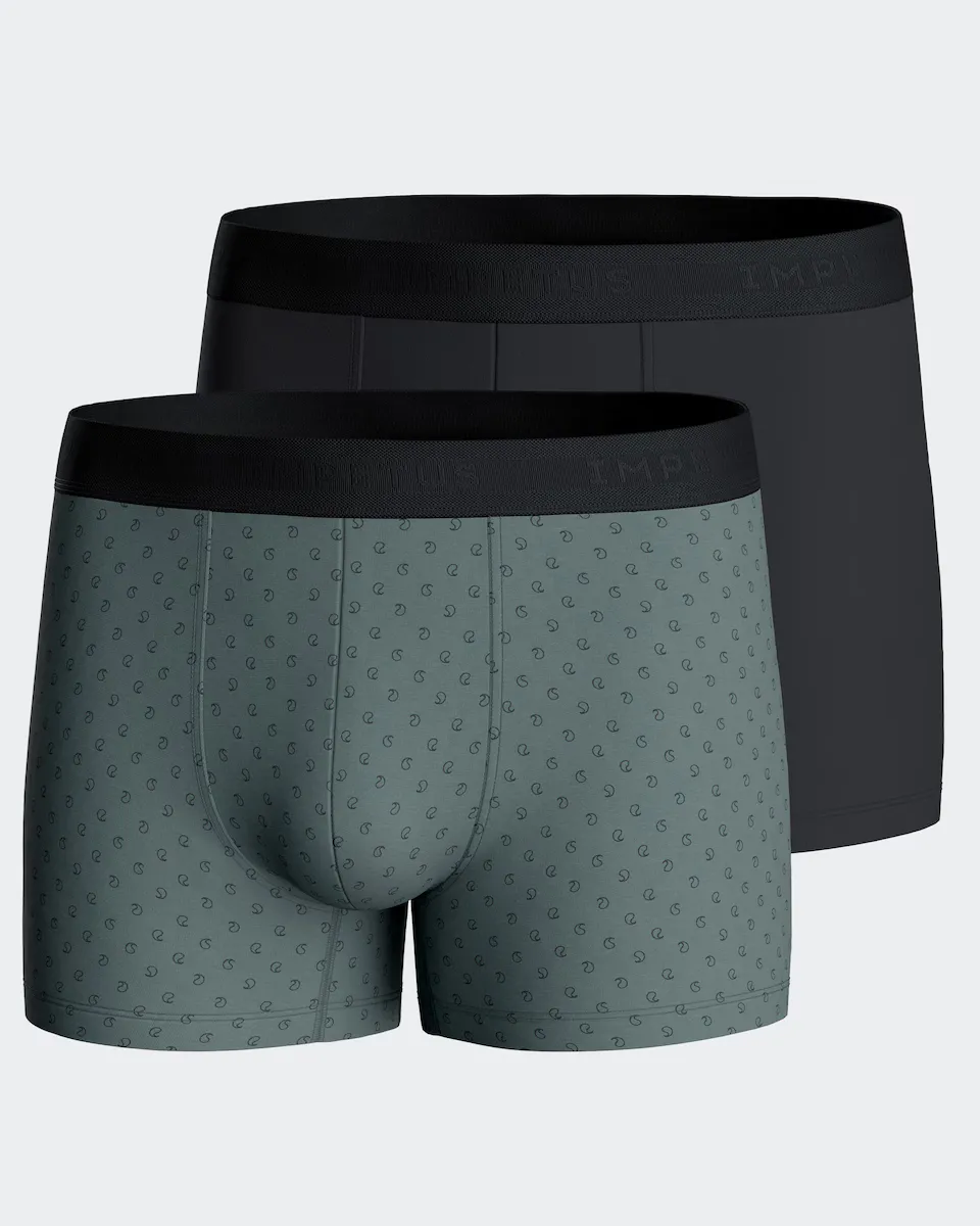 Упаковка из двух мужских трикотажных трусов-боксеров разных цветов Impetus, темно-зеленый
Упаковка из двух мужских трикотажных трусов-боксеров разных цветов Impetus, темно-зеленый