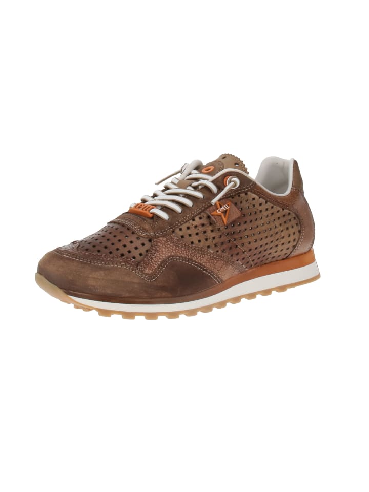 Кроссовки на шнуровке Cetti, коричневый
Кроссовки на шнуровке Cetti, коричневый