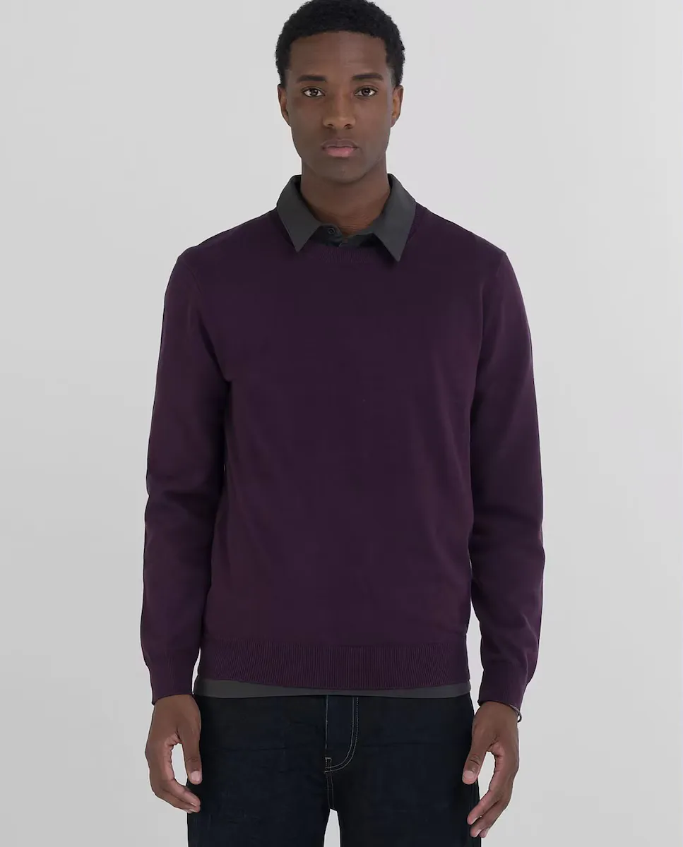 Мужской джемпер с длинным рукавом и круглым вырезом Replay, фиолетовый
Мужской джемпер с длинным рукавом и круглым вырезом Replay, фиолетовый